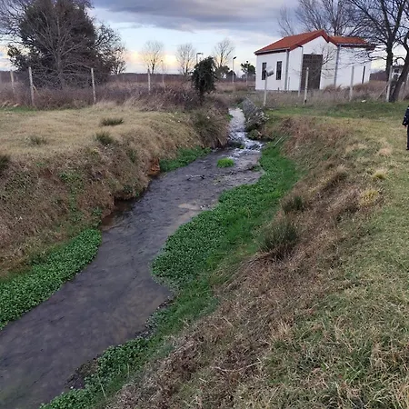 Jakov * Dracevac Ninski