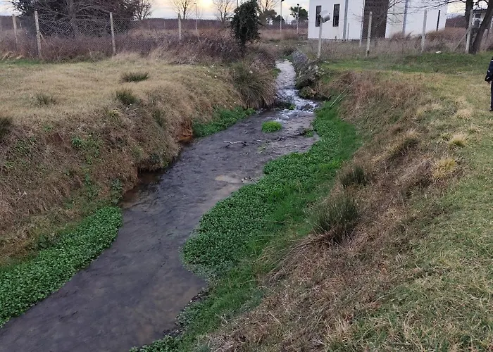 Jakov * Dracevac Ninski